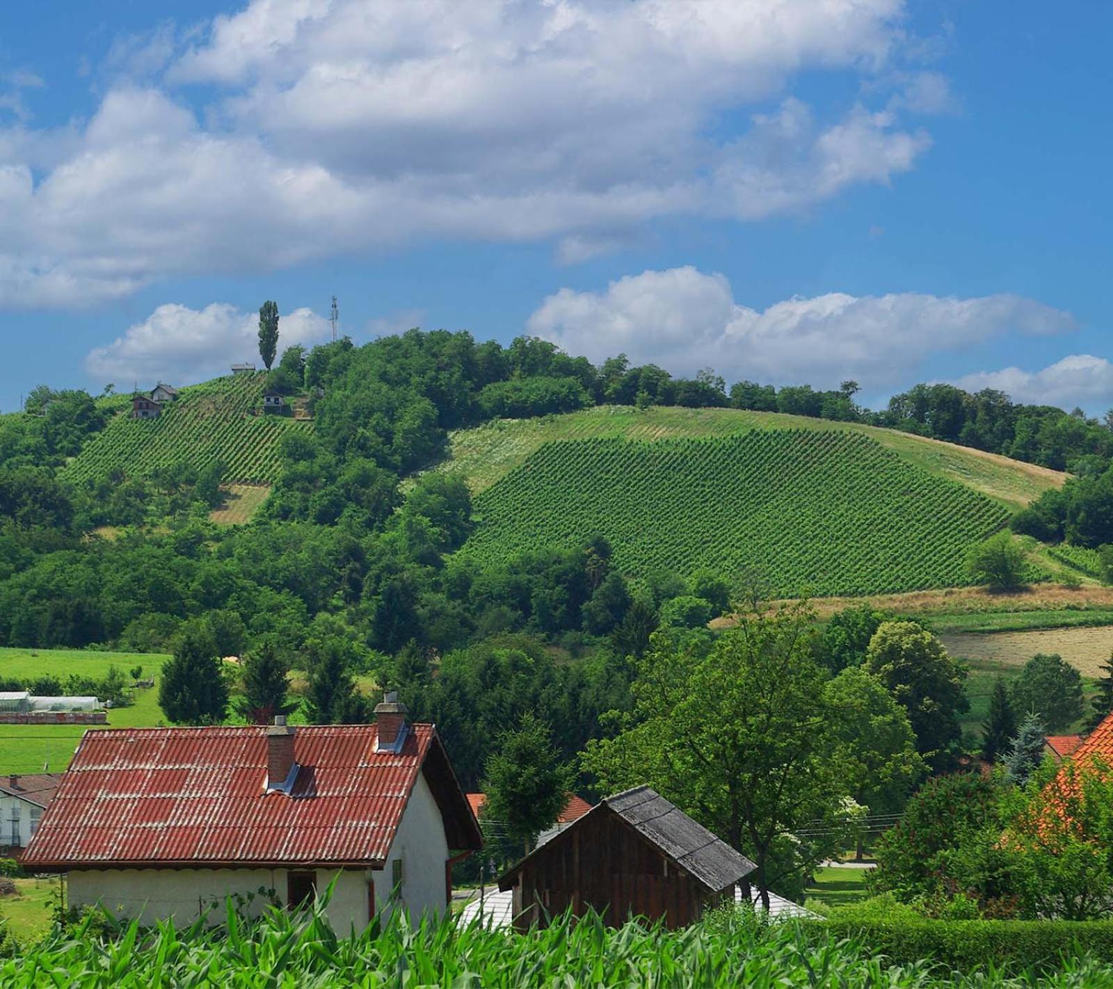 Franc Holiday House With A Spacious Terrace, Hot Tub And Sauna Villa Lopatinec Esterno foto